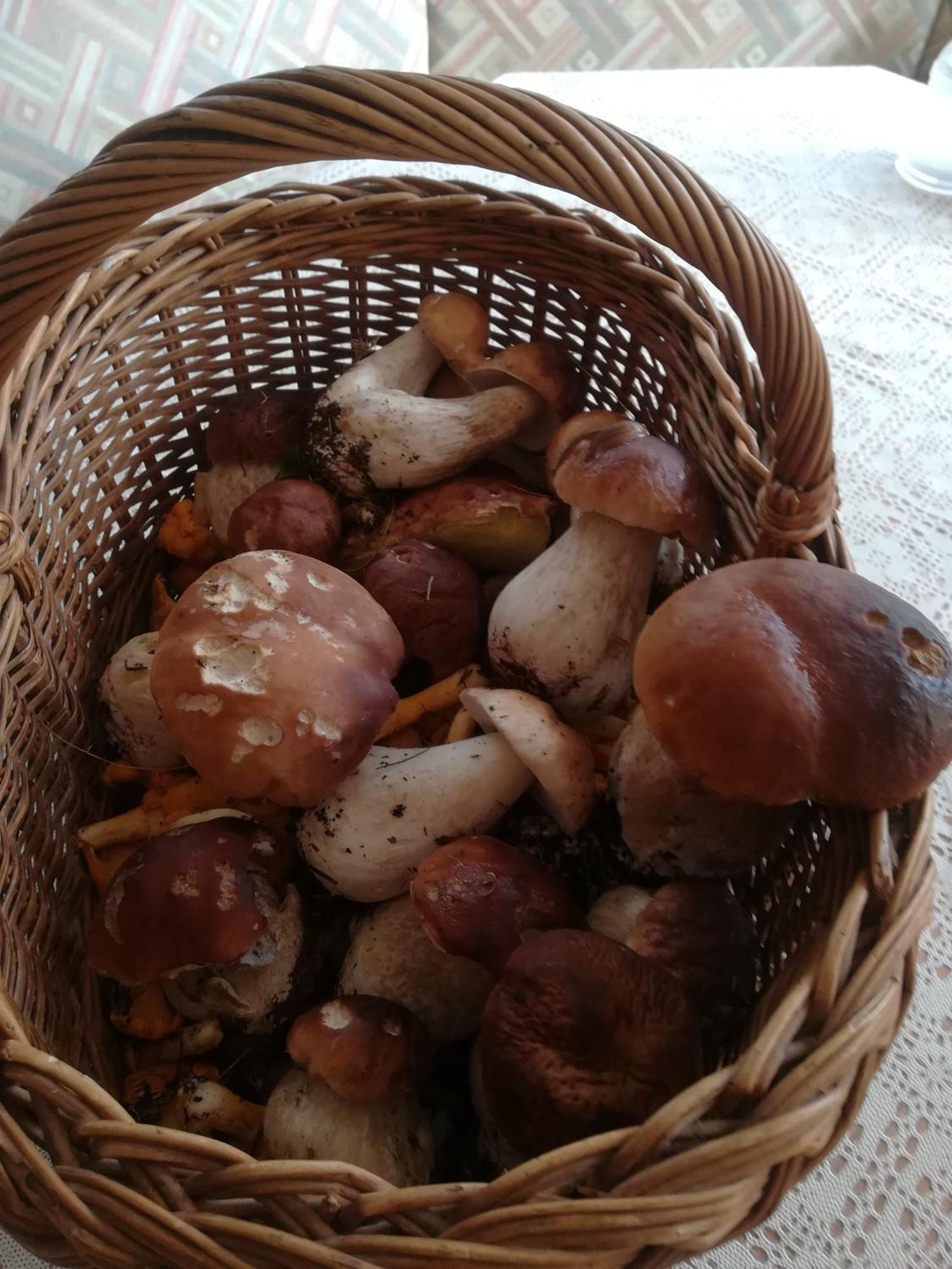 Tschafein * Galtür
